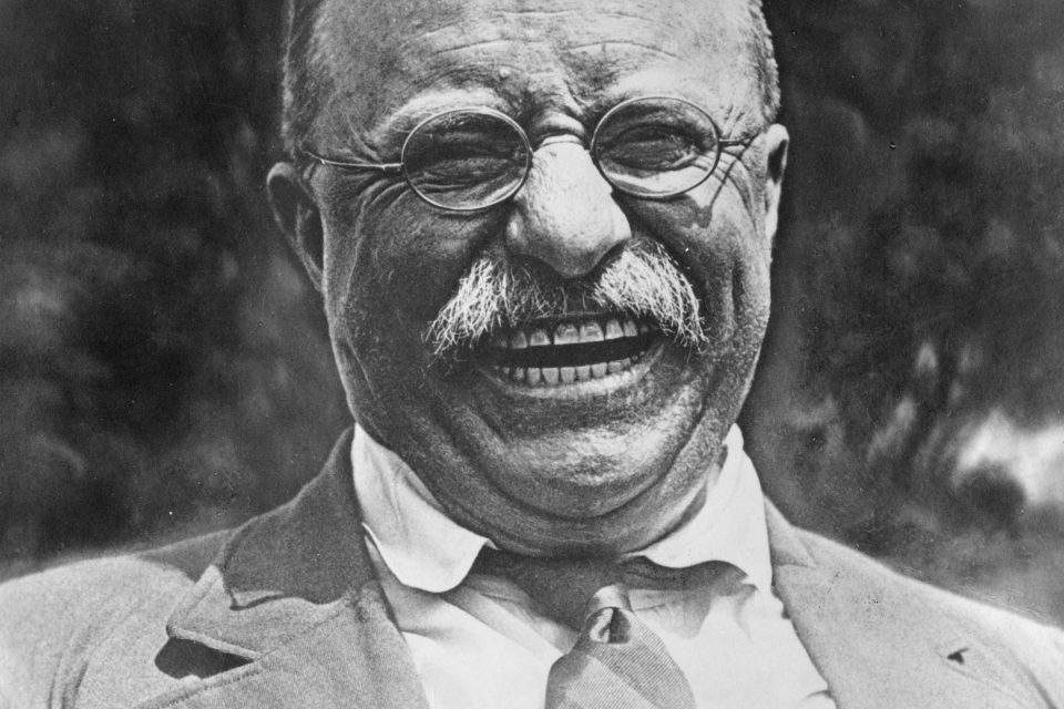 Billedresultat for teddy roosevelt